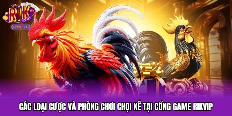 Cổng game RIKVIP cung cấp nhiều loại cược chọi kê
