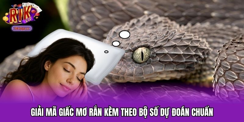 Giải mã giấc mơ rắn kèm theo bộ số dự đoán chuẩn