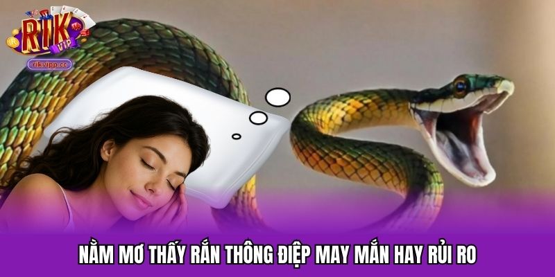 Nằm mơ thấy rắn thông điệp may mắn hay rủi ro