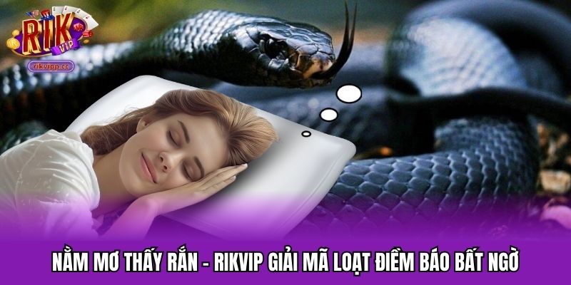 Nằm Mơ Thấy Rắn - RIKVIP Giải Mã Loạt Điềm Báo Bất Ngờ